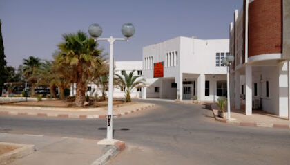 Sonatrach Exploration, Direction des Opération Exploration