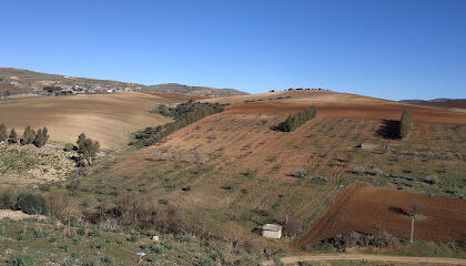 Subdivision des Travaux Publics El Omaria
