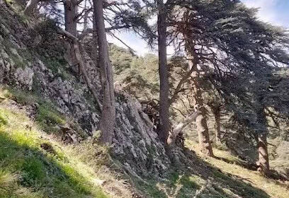 Tourisme Tissemsilt