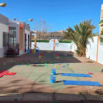 Zed languages school