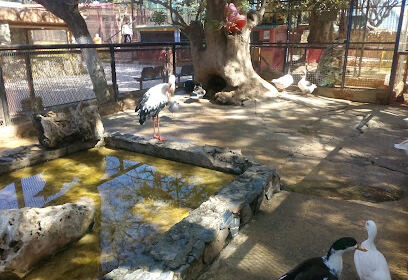Zoo d’Oran