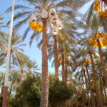 Atef mobiles