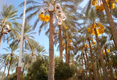 Atef mobiles