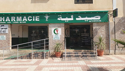 dr Damouche