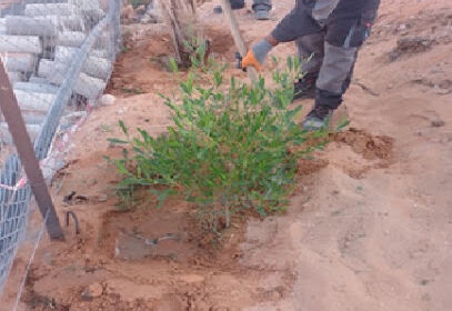 Environmental Services maintenance green spaces.