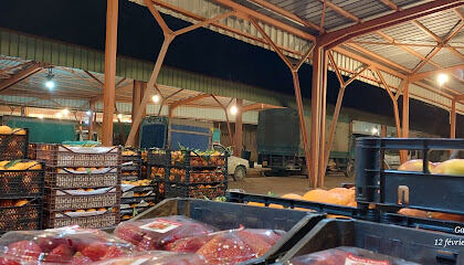 Marché de Gros Daya Ben Dahoua