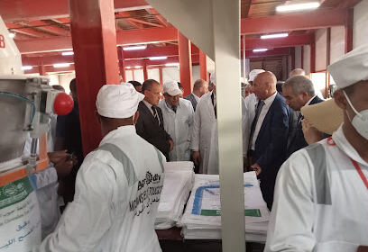 MOULIN OASIS TOUGGOURT (agrodiv)