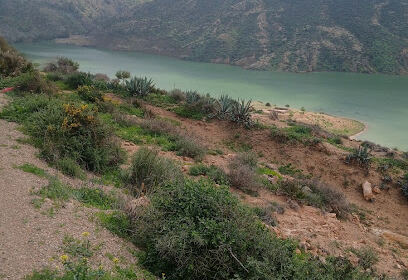Ptilac Aïn El arbaa