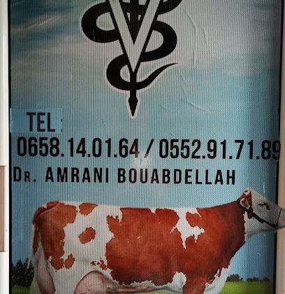 Cabinet Vétérinaire Dr Amrani